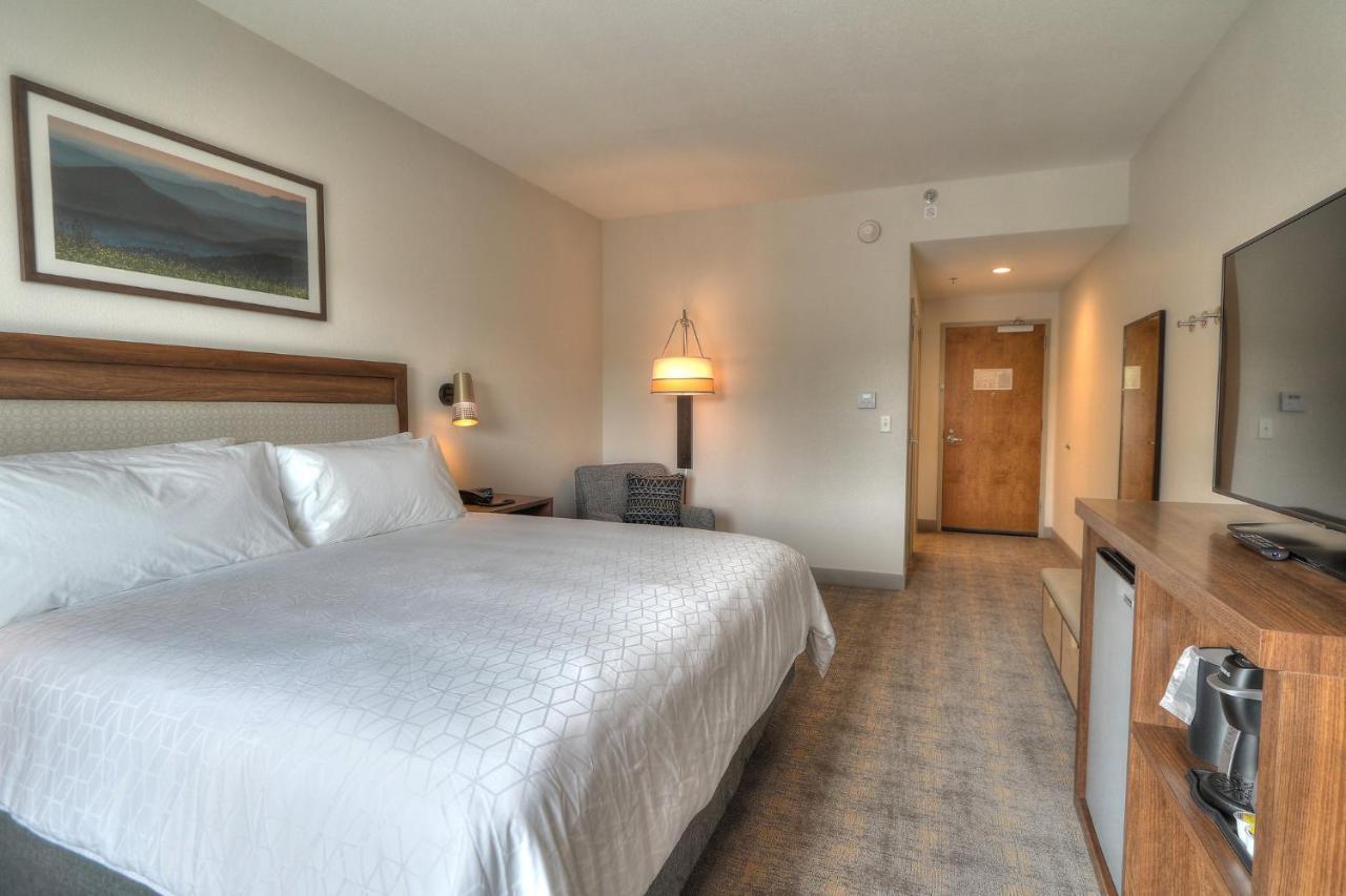Holiday Inn & Suites Pigeon Forge Convention Center, An Ihg Hotel Extérieur photo