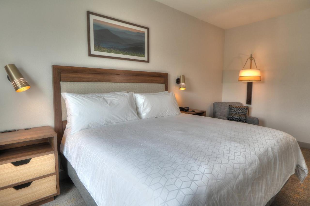 Holiday Inn & Suites Pigeon Forge Convention Center, An Ihg Hotel Extérieur photo